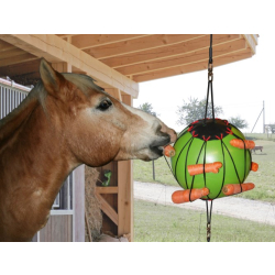 Therapiespielball Ball für Pferde