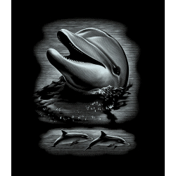 Kratzbild Silber groß - Delfin 20 x 25 cm