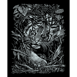 Kratzbild Silber groß - Tigerbaby 20 x 25 cm