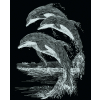 Kratzbild Silber groß - Delfine 20 x 25 cm