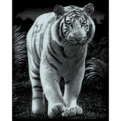 Kratzbild Silber groß - Tiger 20 x 25 cm