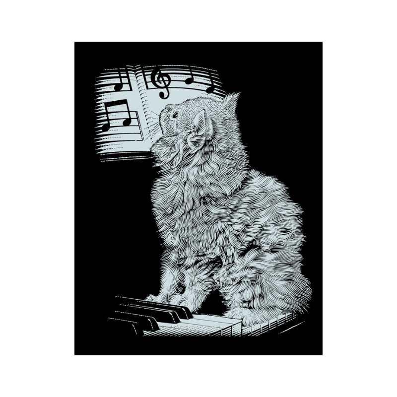 Kratzbild  Kratzbilder Spielende Katze Silber Neu Größe 25 cm x 20 cm 