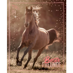 Freundebuch I LOVE HORSES Beste Freunde