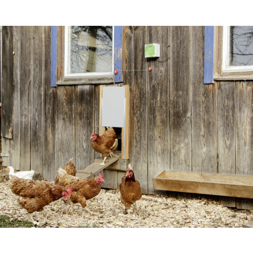 Automatische Hühnertür Komplett-Set, inkl. Schiebetür