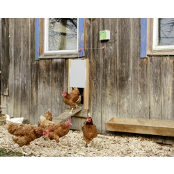 Automatische Hühnertür Komplett-Set, inkl....