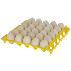 Eieraufbewahrung Eierhalterung Eierkarton aus Plastik
