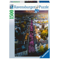 Ravensburger Puzzle Blühendes Bonn 1500 Teile
