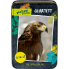 Die Spiegelburg Kartenspiel Quartett Vögel Nature Zoom