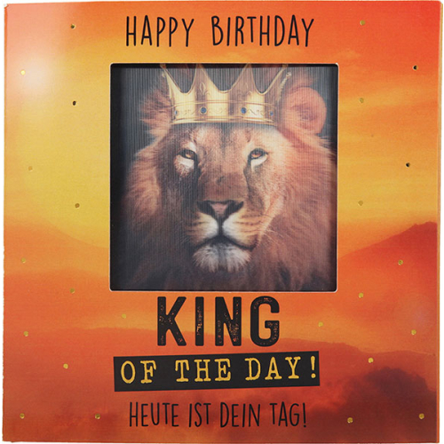 3D Klappkarte mit Musik 26 Geburtstag Lion King