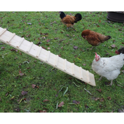 Hühnerleiter für Hühnerstall / Wachtelstall 75 cm