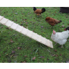 Hühnerleiter für Hühnerstall / Wachtelstall 75 cm