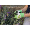 THINKGREEN Kinderhandschuh Sprout grün / weiß 3 - 5 Jahre XXXXS 3