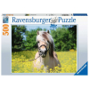 Ravensburger Puzzle Pferd im Rapsfeld 500 Teile 15038