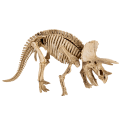 Die Spiegelburg Dinosaurier Ausgrabungsset Triceratops...