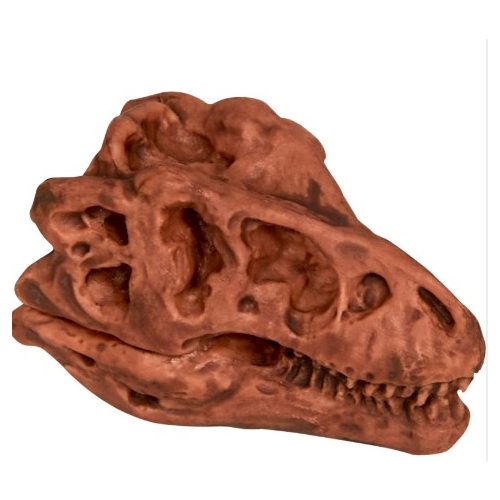 Die Spiegelburg Ausgrabungsset Dinosaurier-Schädel T-Rex World Tyrannosaurus Rex