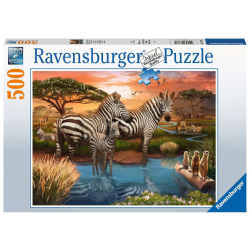 Ravensburger Puzzle Zebras am Wasserloch 500 Teile 17376