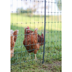 AKO PoultryNet Premium Geflügelschutznetz grün