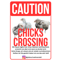 Hühnerschild Caution Chicks Crossing Freilaufende Hühner