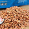 CHICKENGOLD® Seamix Gammatus & Shrimps Snack 200 g