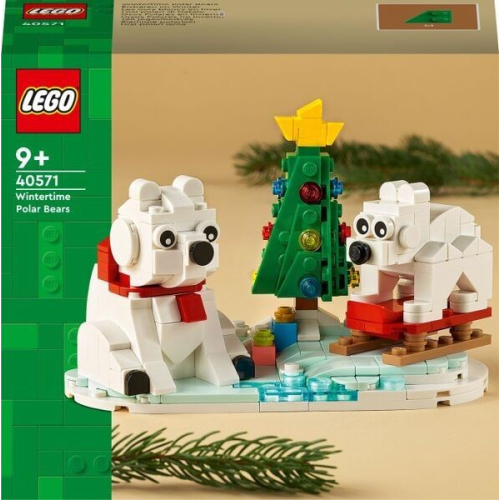 LEGO Eisbären im Winter 40571