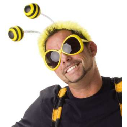 Fasching Bienen Haarreif Kopfschmuck
