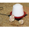 Gummiheizplatte für Kleintiere und Geflügeltränken