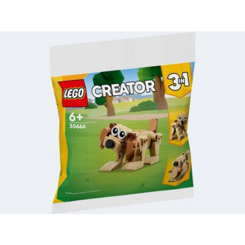 LEGO Creator Polybag Geschenkset mit Tieren 30666
