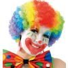 Fasching Perücke Locken Hair  Clown Rainbow bunt
