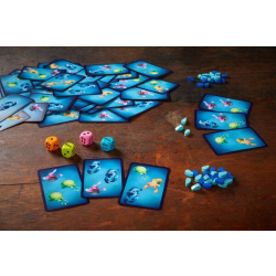 HABA Spiel Kartenspiel Schwarmlichter Fische