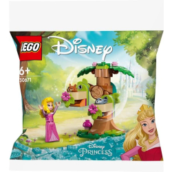 LEGO Disney Princess Auroras Waldspielplatz 30671