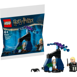 LEGO Harry Potter Draco im Verbotenen Wald™ 30677