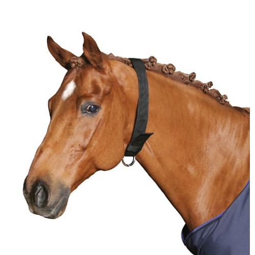 Pferde Halsring Halsriemen 5cm breit